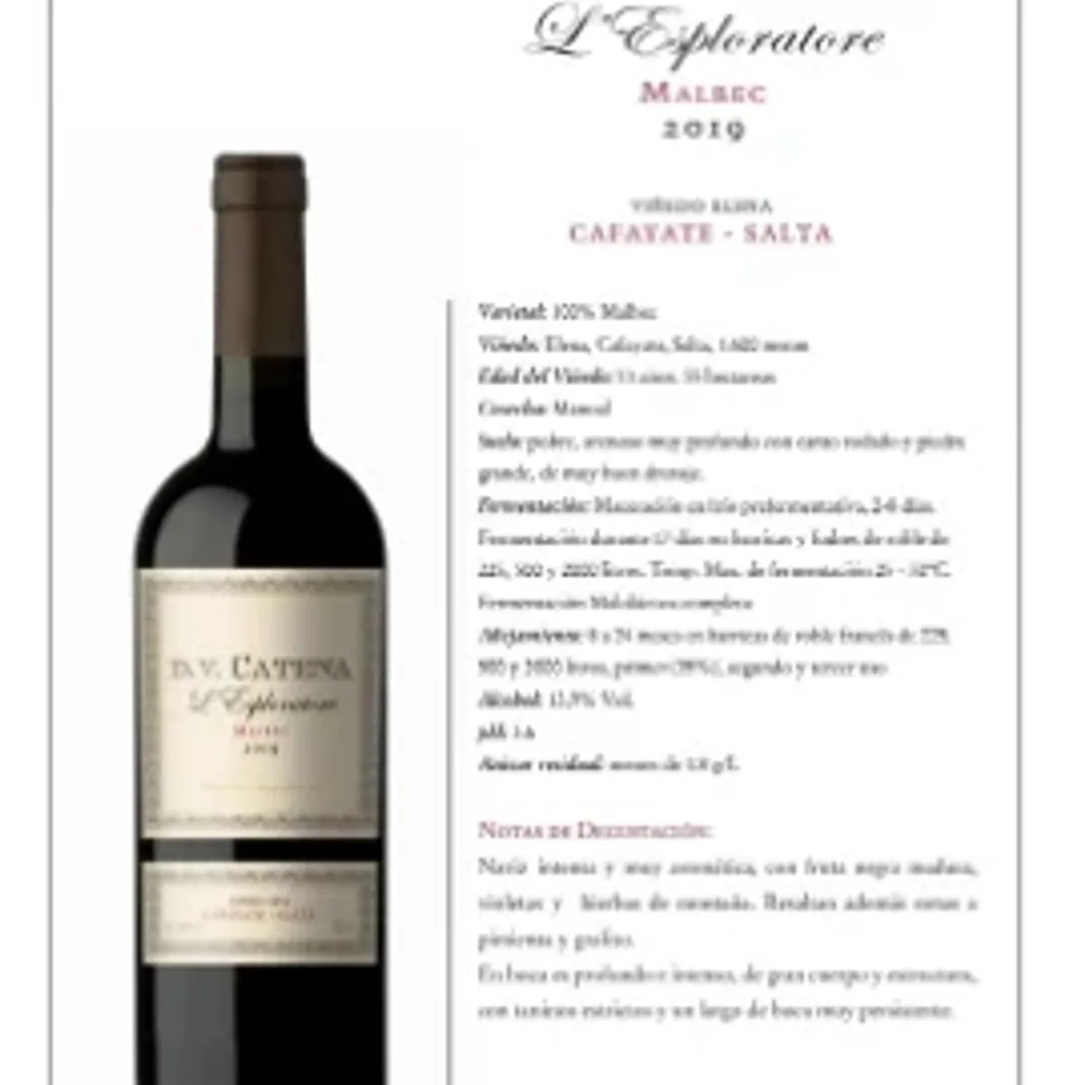 DV Catena L`Esploratore Salta