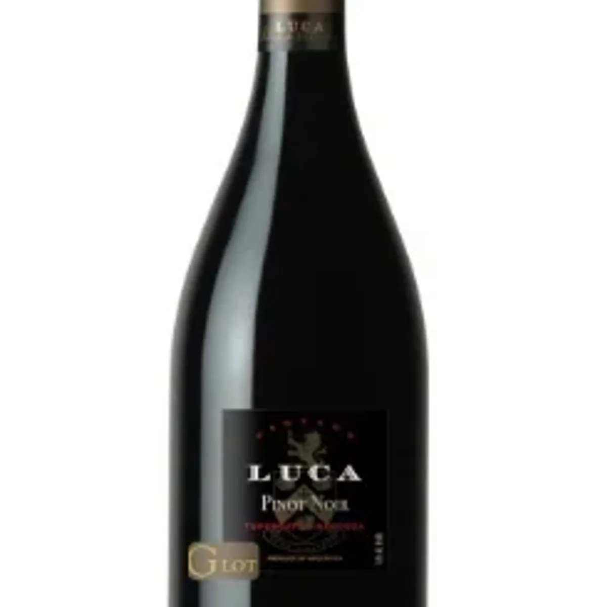 Luca Pinot