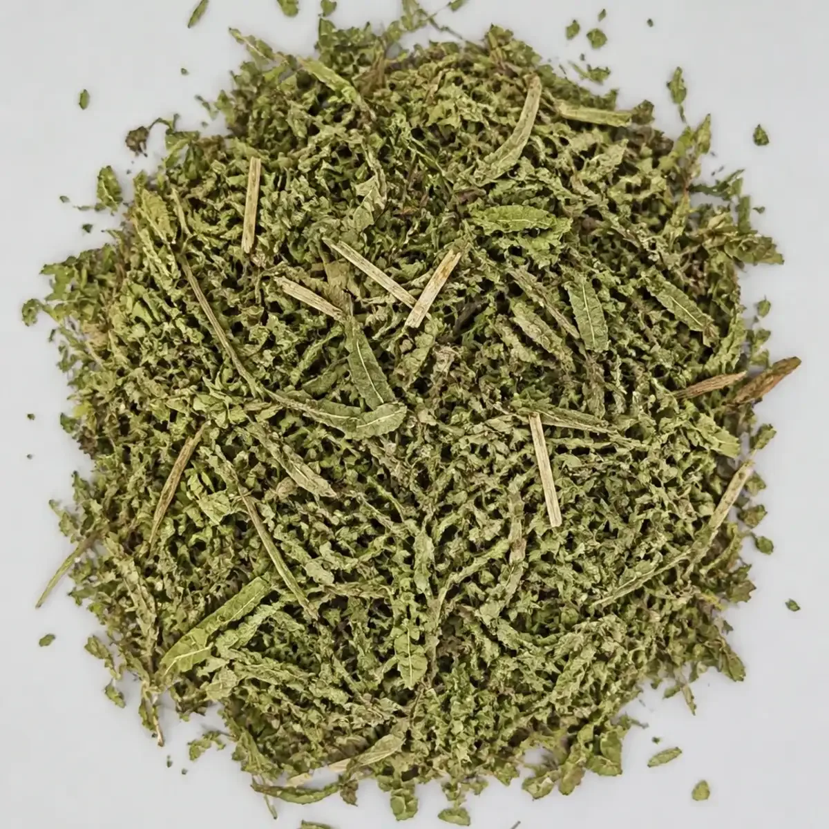 Diente de león