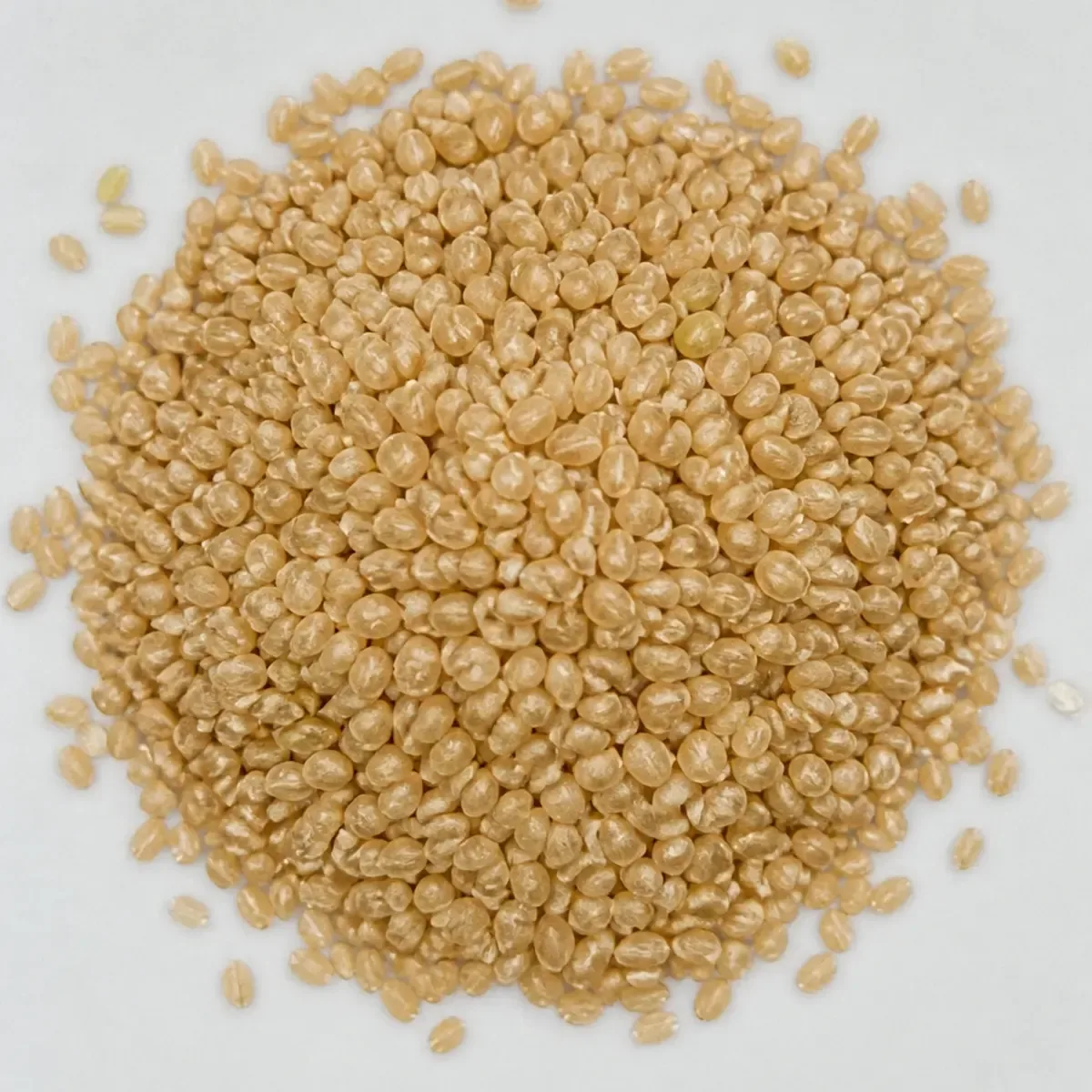 Arroz Yamani Integral