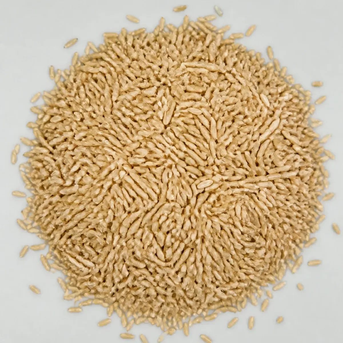 Arroz integral