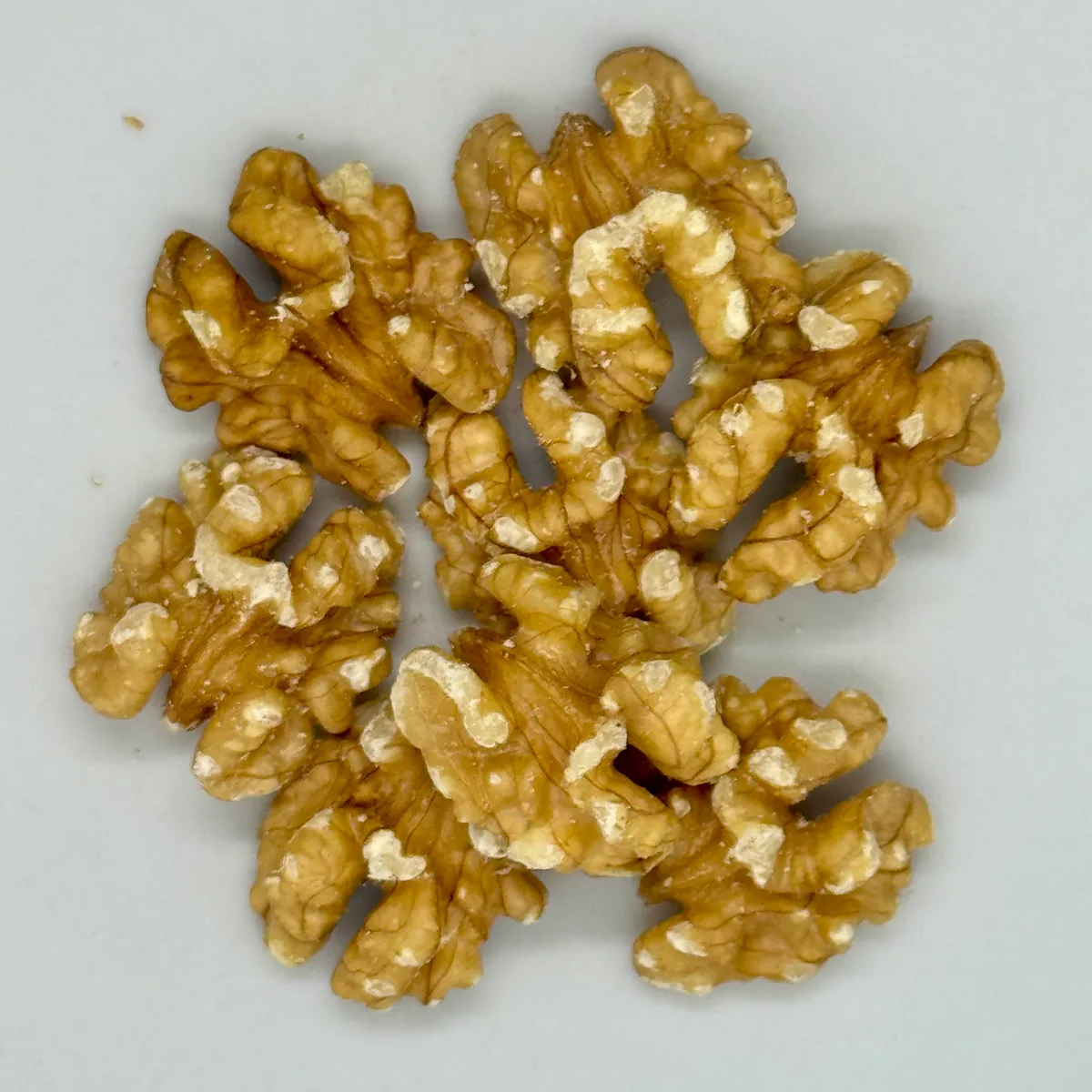 Nuez mariposa extra light