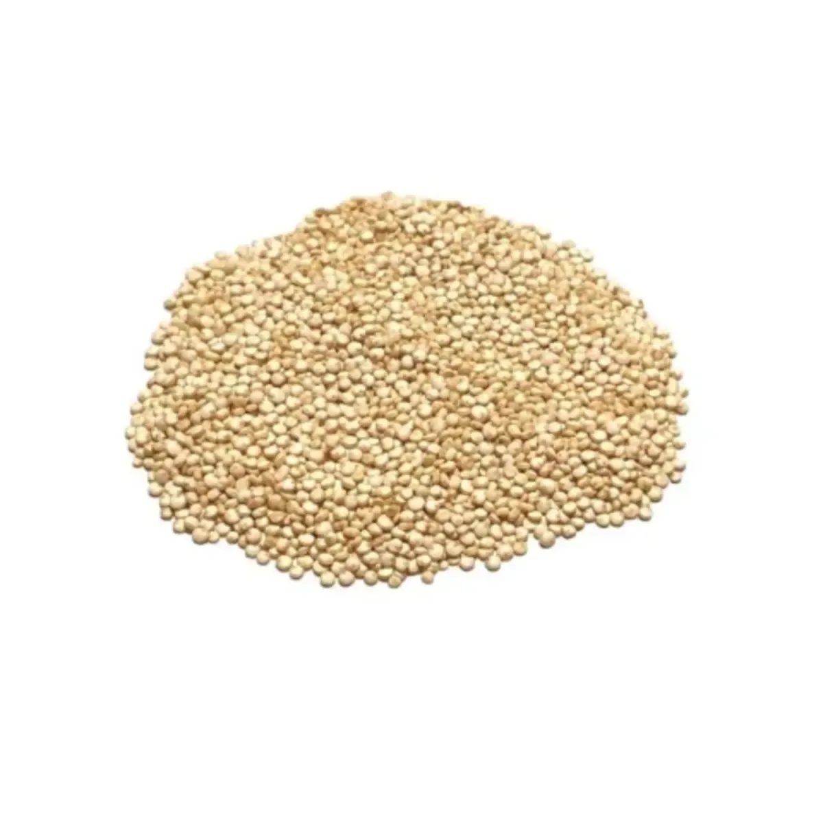 Quinoa