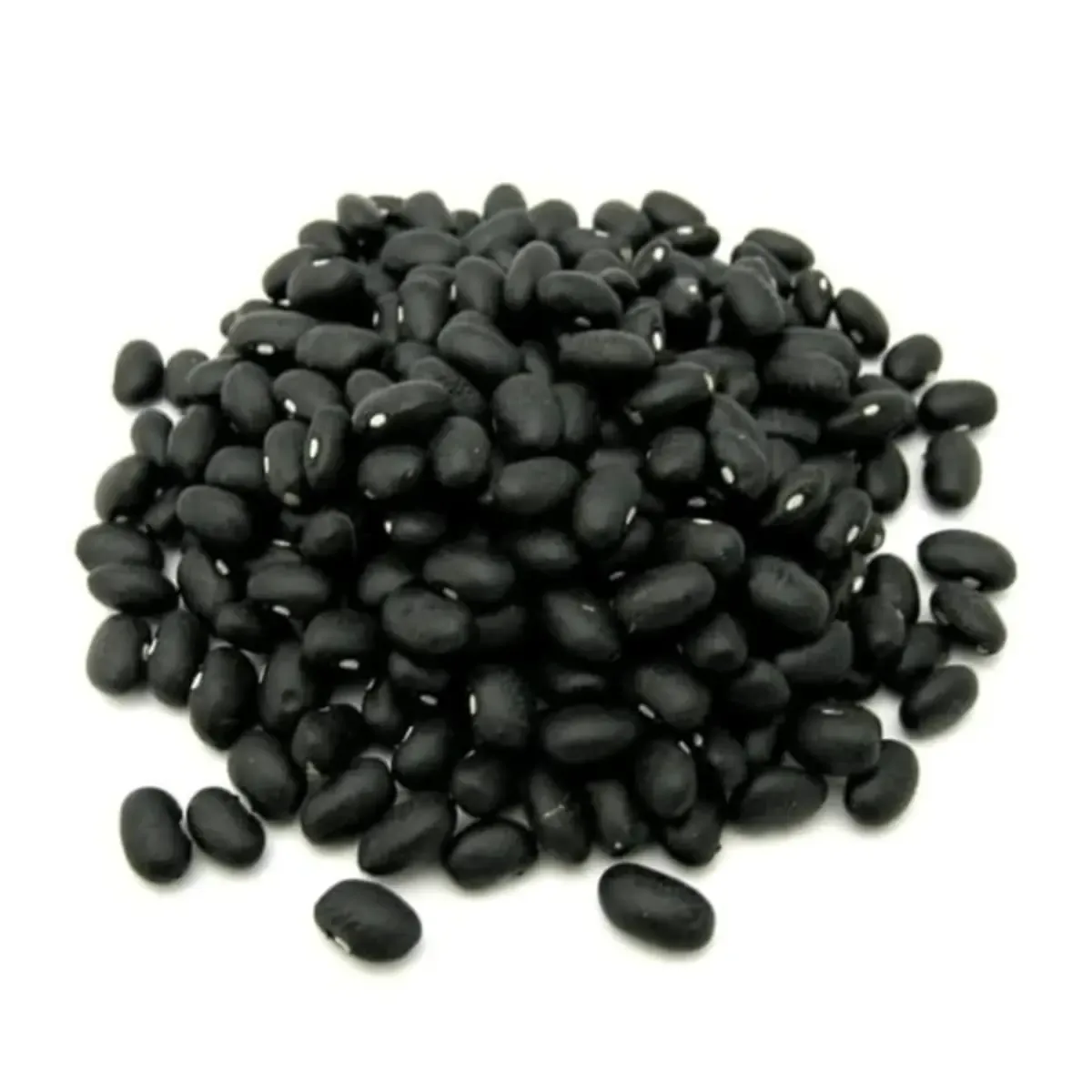 Poroto negro