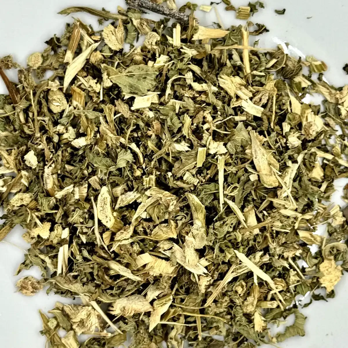 Arenaria