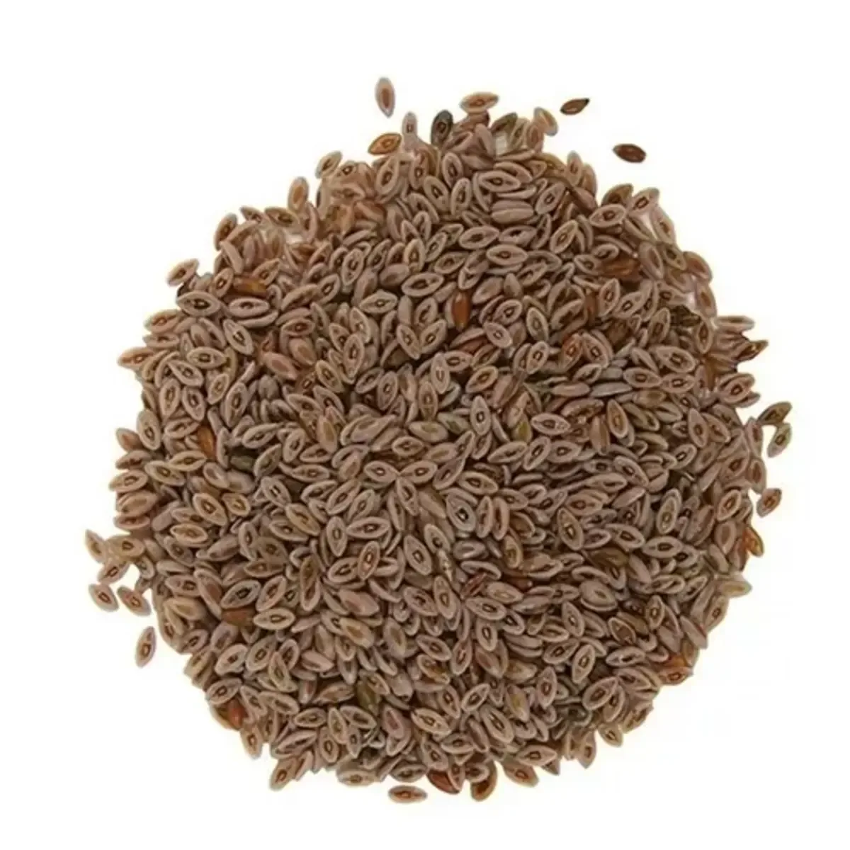 Zaragatona/Psyllium